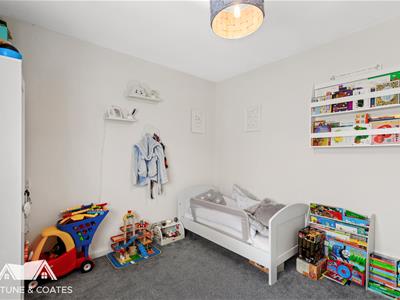 Picture 11